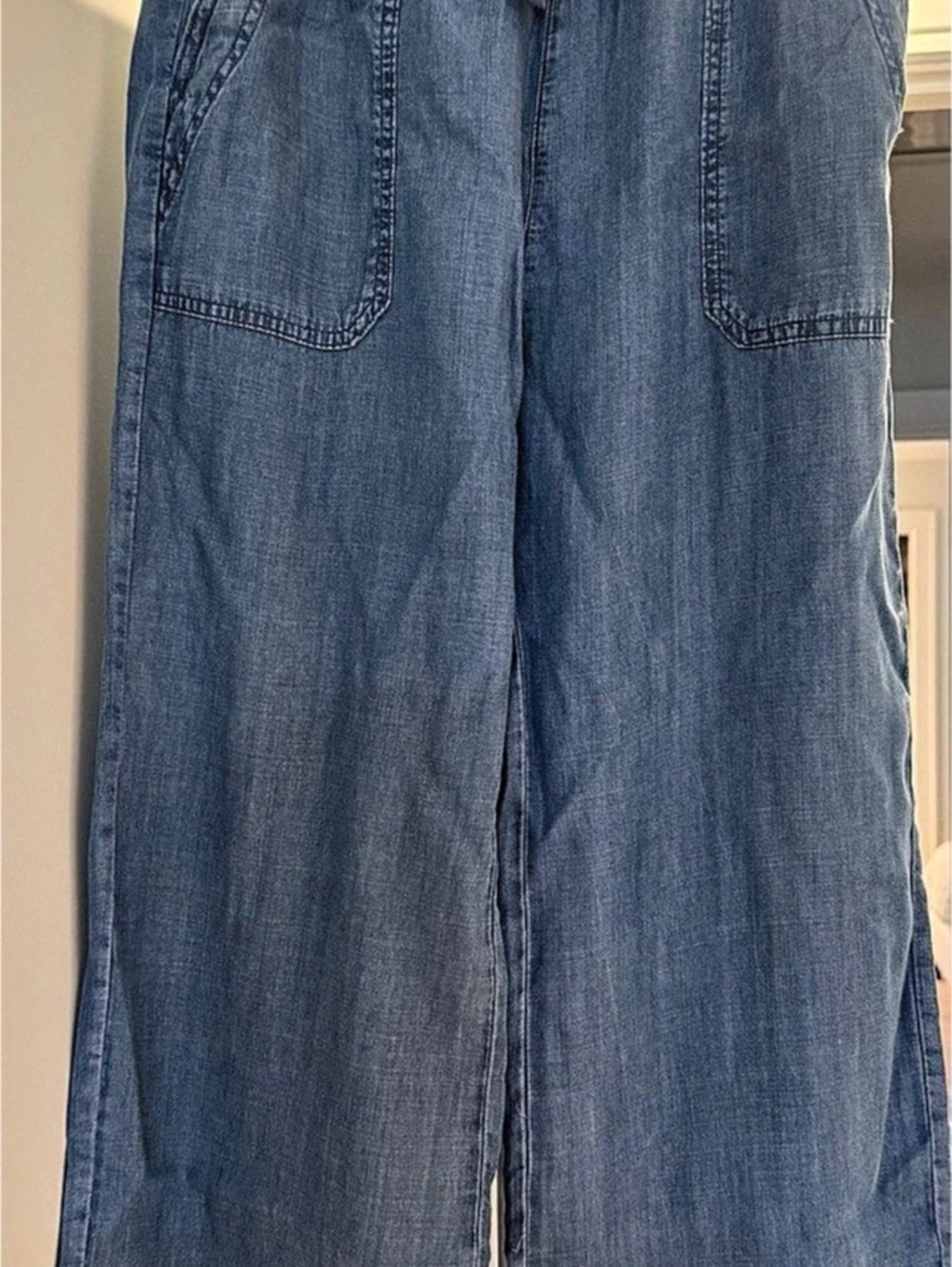 Splendid Wide Leg Crop Pant Pants in Blue Size Small